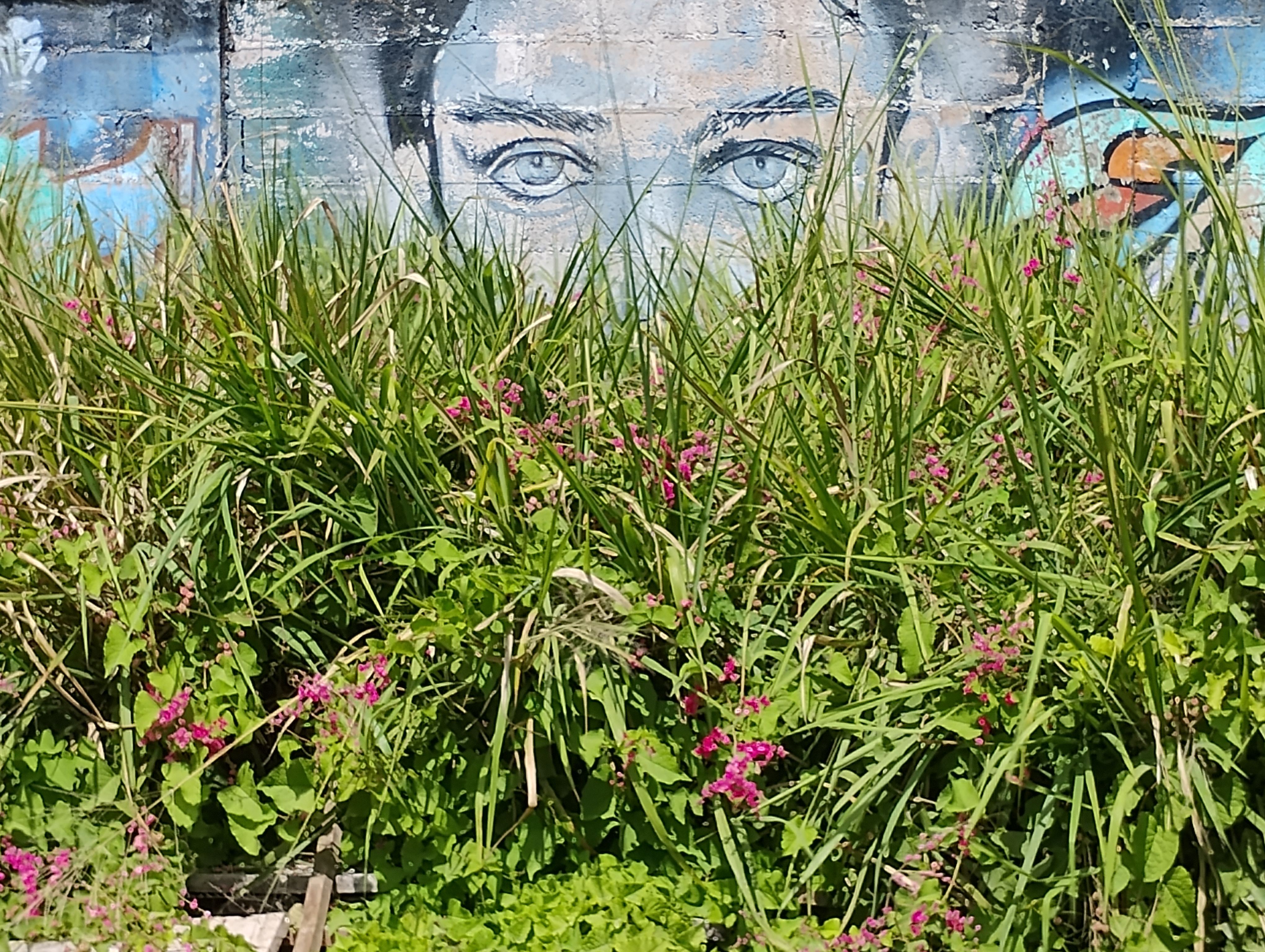 Corozal Mural