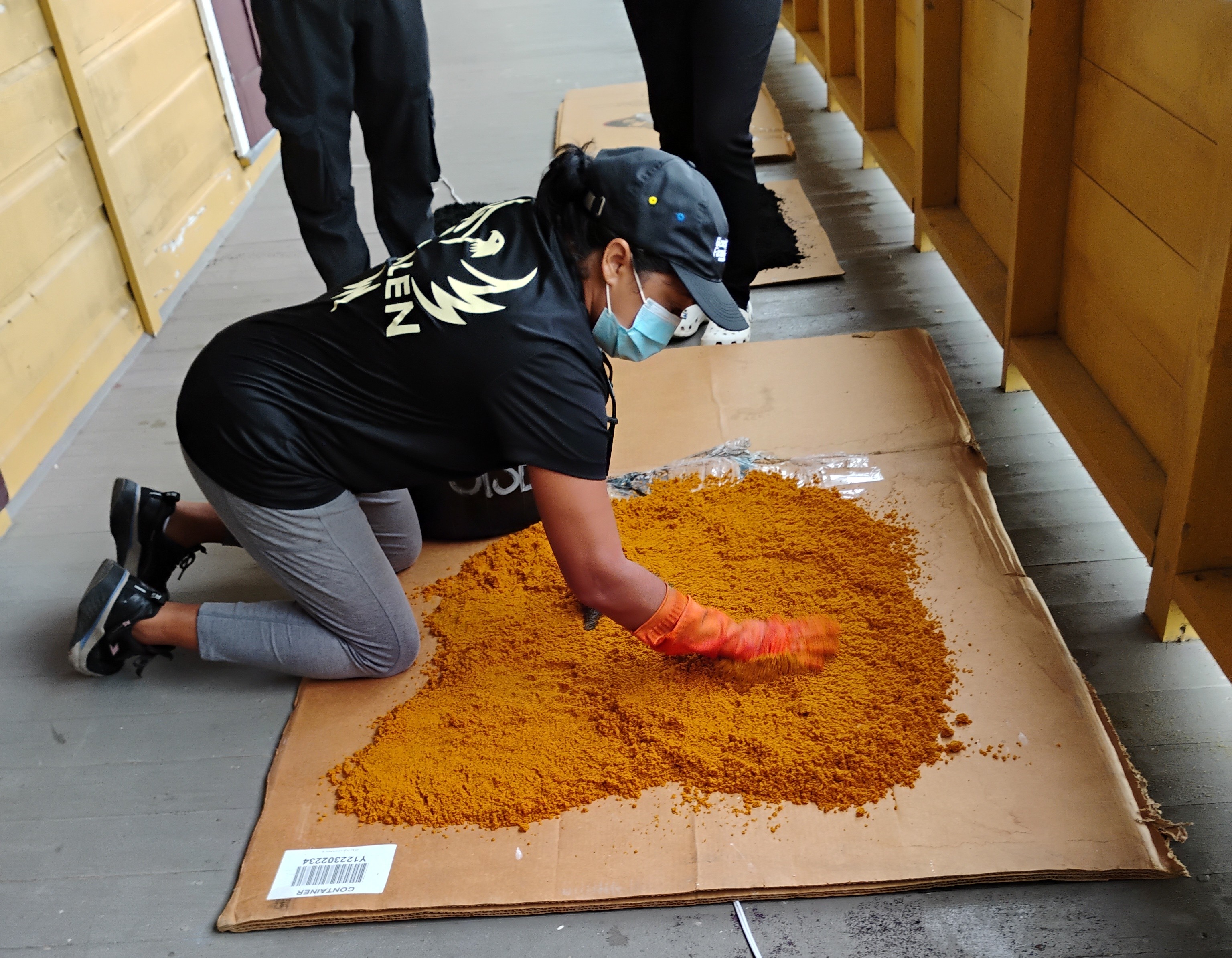 Volunteer Sawdust Dyeing