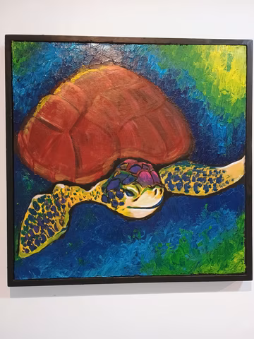 Darlin Polanca Turtle